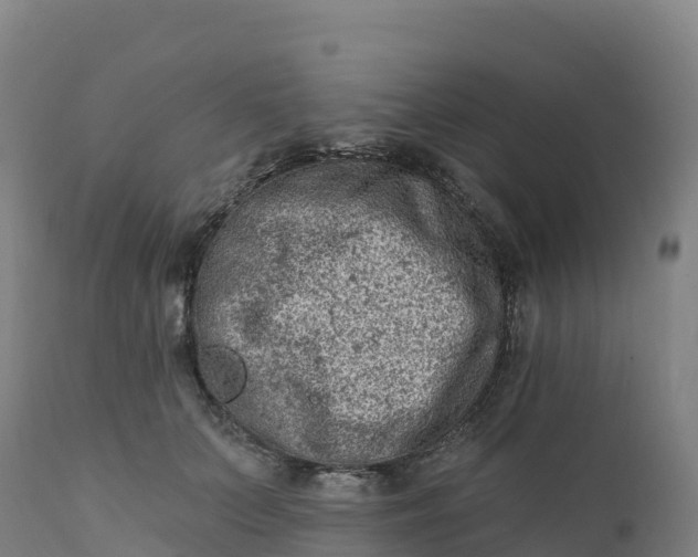 X0000112420703200908281839