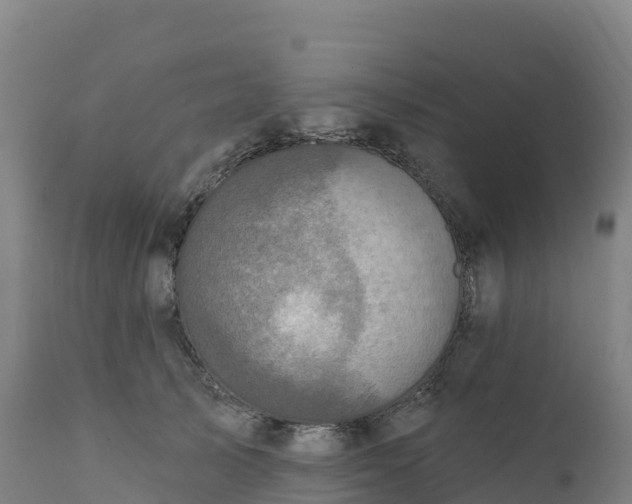 X0000112420705200908281839