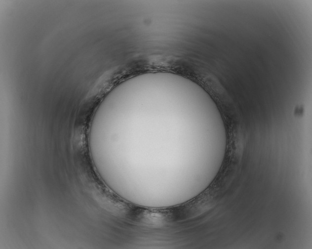 X0000112420706200908281839