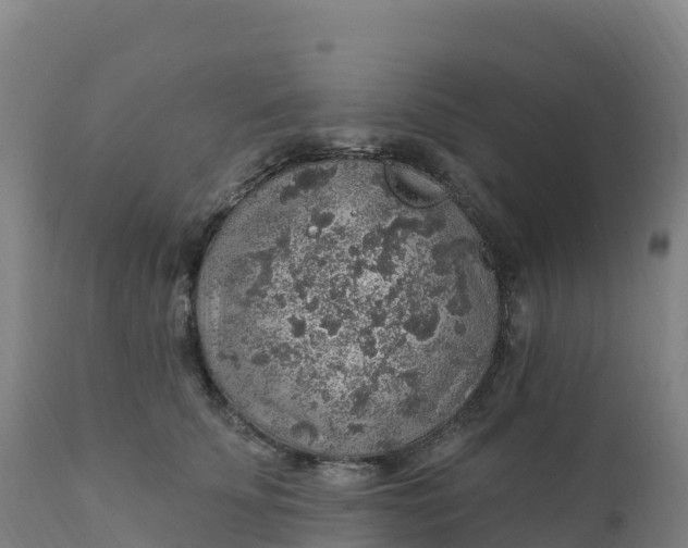 X0000112420707200908281839