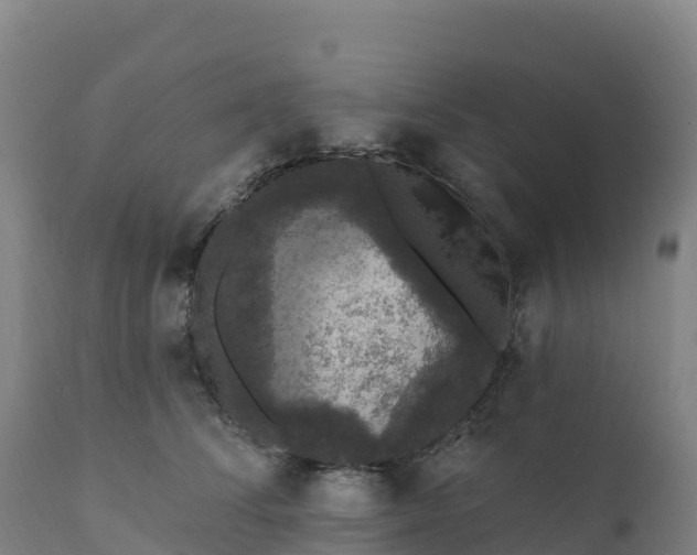 X0000112420708200908281839