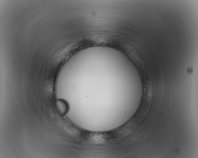 X0000112420710200908281839