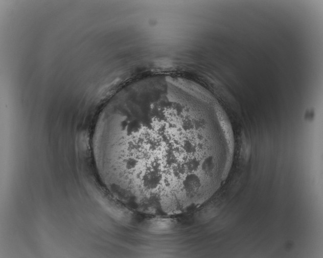 X0000112420711200908281839