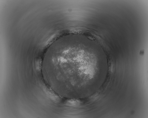 X0000112420712200908281839