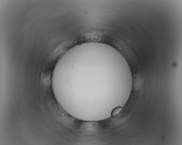 X0000112420713200908281839