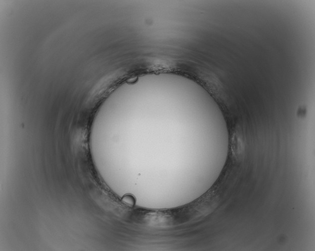 X0000112420714200908281839