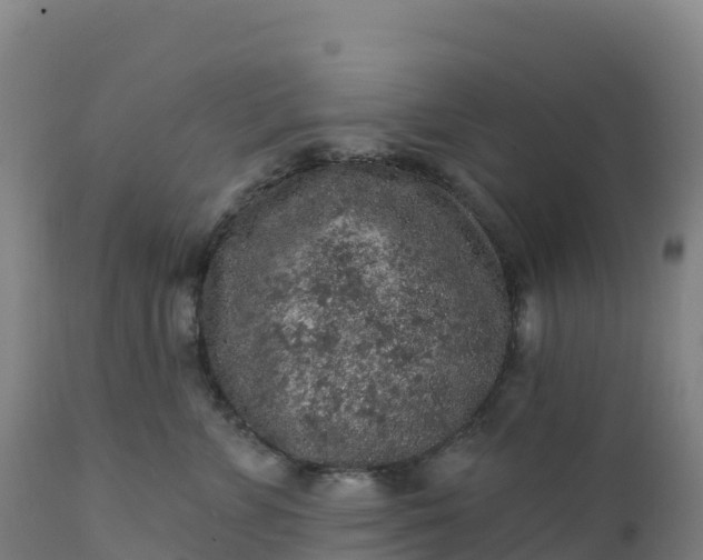 X0000112420715200908281839