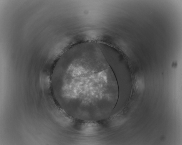 X0000112420716200908281839