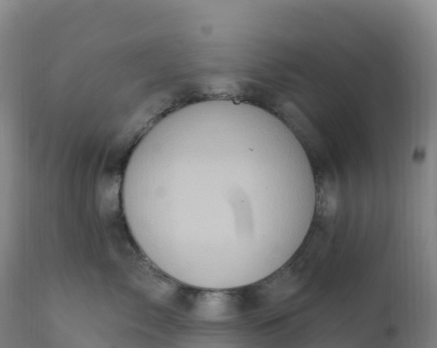 X0000112420717200908281839