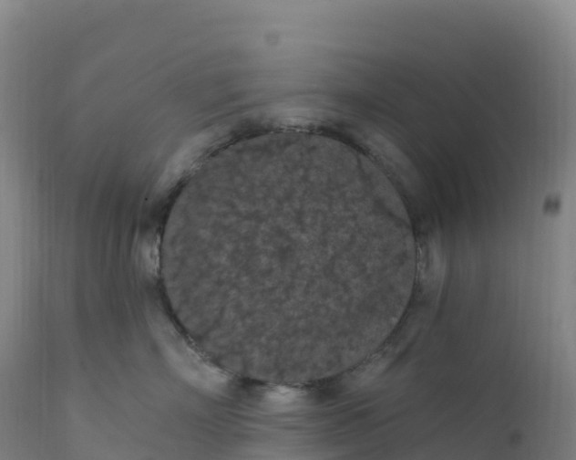 X0000112420718200908281839