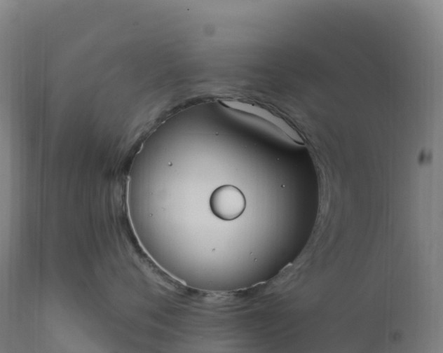 X0000112420720200908281839