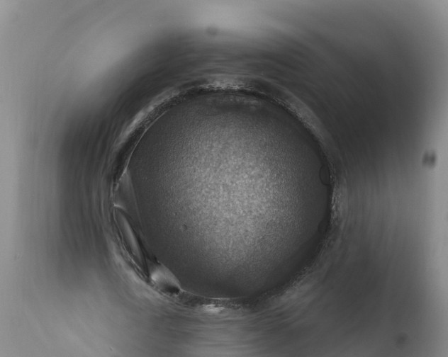 X0000112420722200908281838