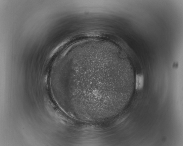 X0000112420723200908281838