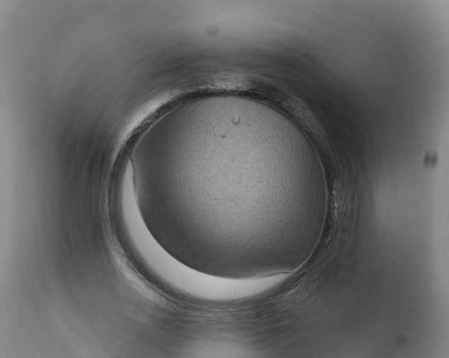 X0000112420726200908281838