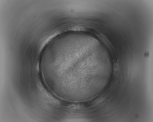 X0000112420727200908281838