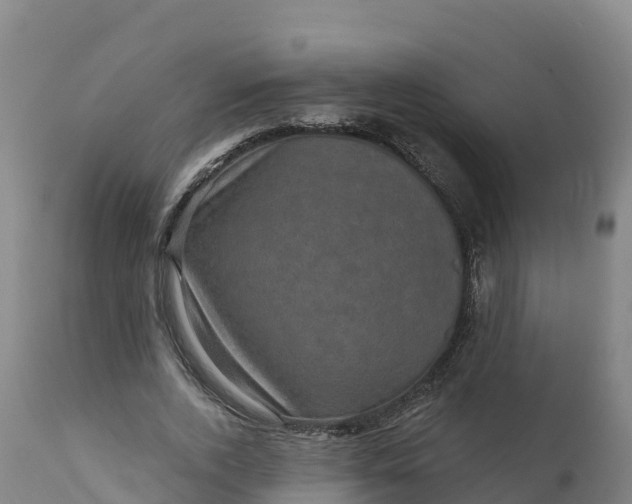 X0000112420728200908281838