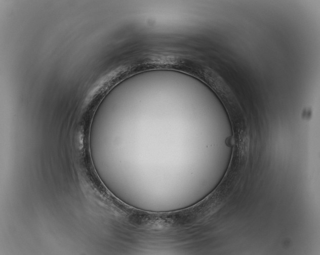 X0000112420731200908281838