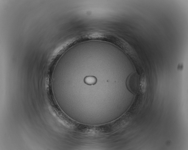 X0000112420732200908281838