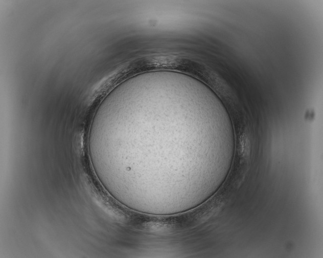 X0000112420733200908281838