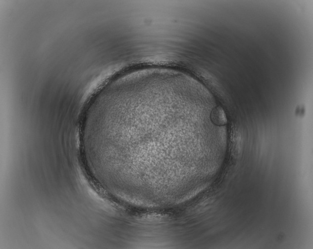 X0000112420734200908281838