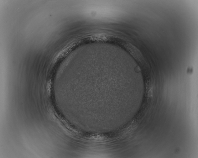 X0000112420735200908281838