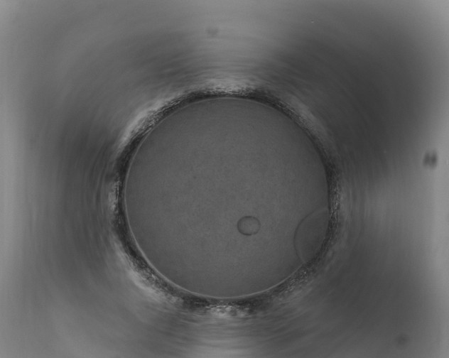 X0000112420736200908281838