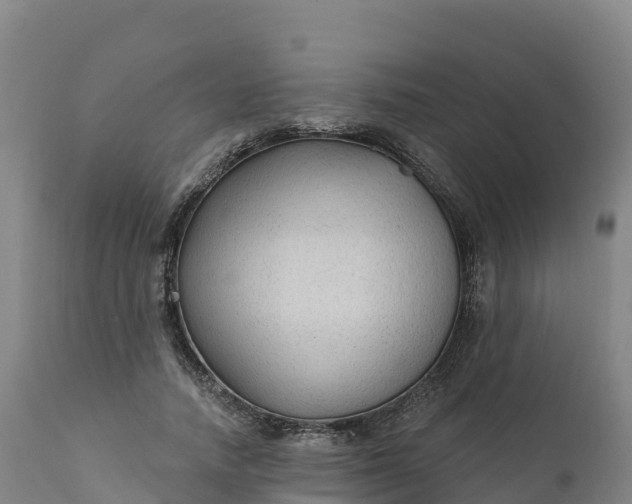 X0000112420738200908281838