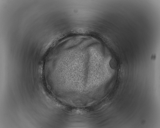 X0000112420739200908281838