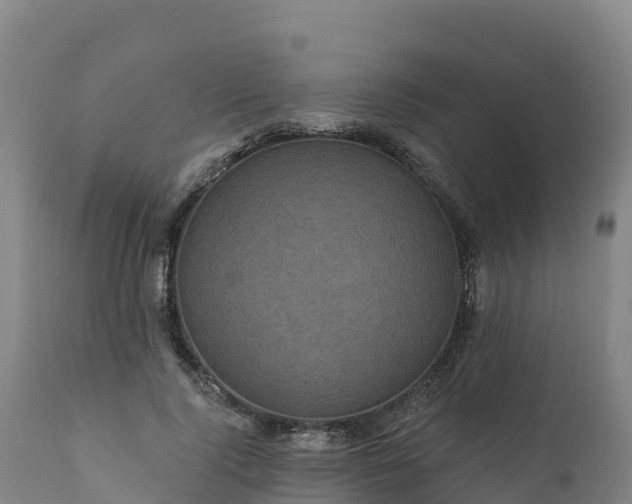 X0000112420740200908281838