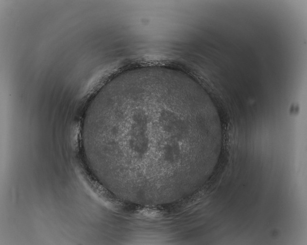 X0000112420742200908281838