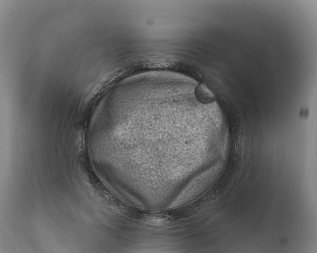 X0000112420743200908281838