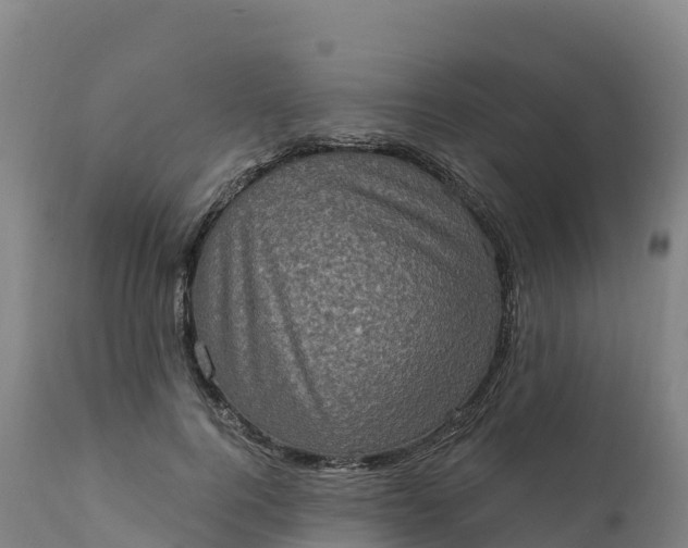 X0000112420744200908281838