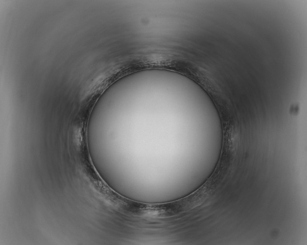 X0000112420746200908281838