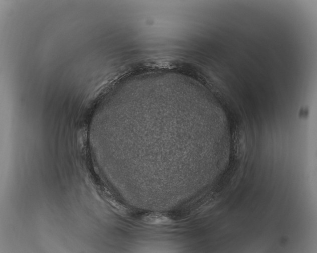 X0000112420747200908281838