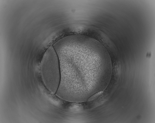 X0000112420750200908281838