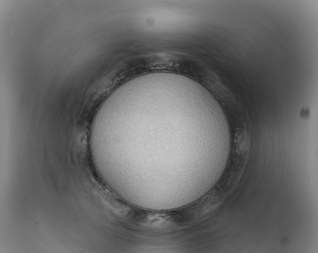 X0000112420753200908281838