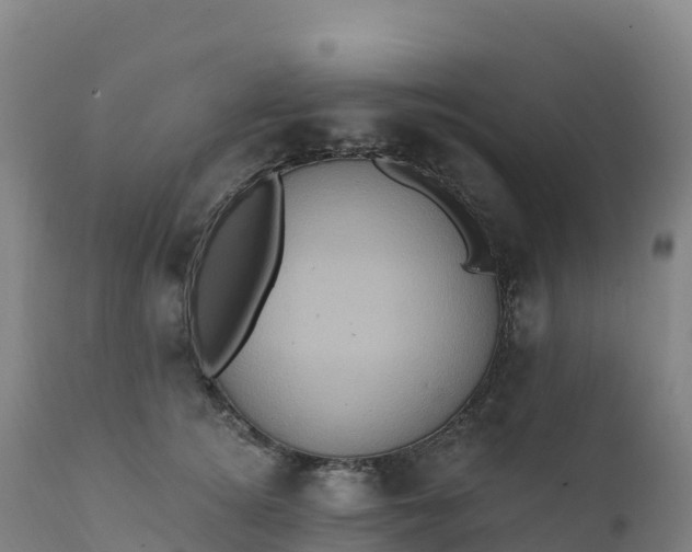 X0000112420756200908281838