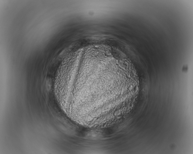 X0000112420758200908281838