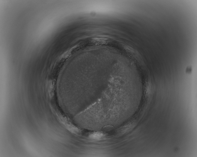 X0000112420759200908281838