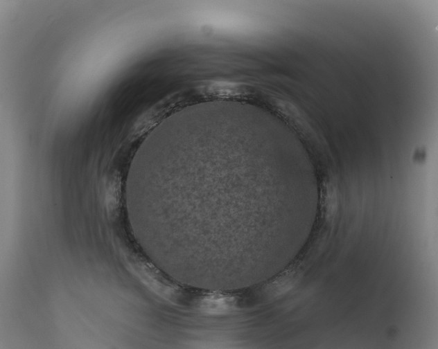 X0000112420760200908281838