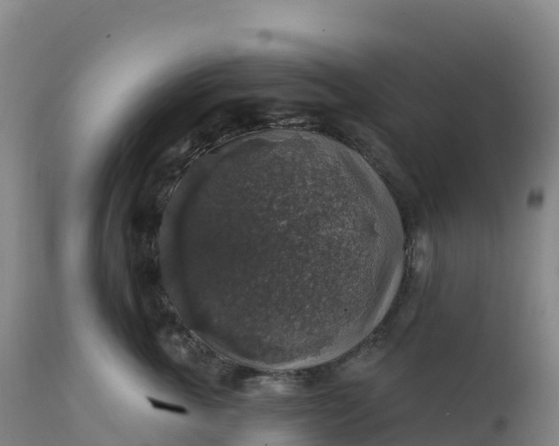 X0000112420763200908281838