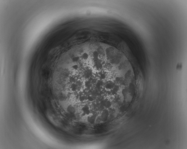 X0000112420765200908281838