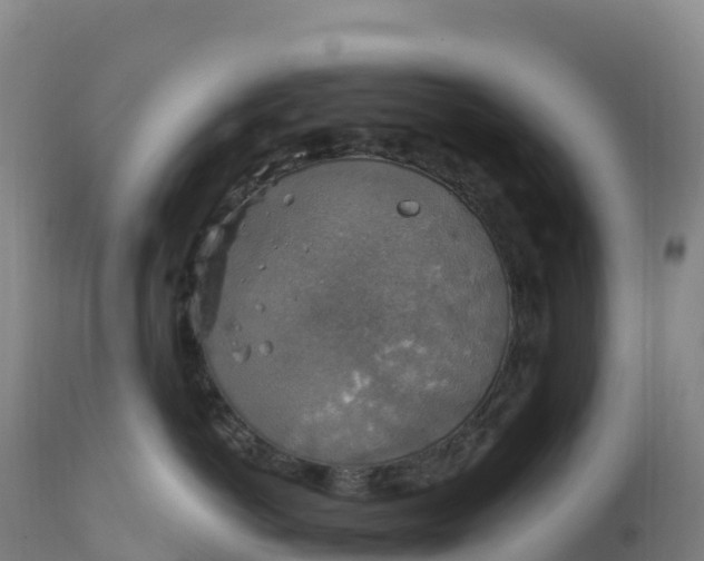 X0000112420766200908281838