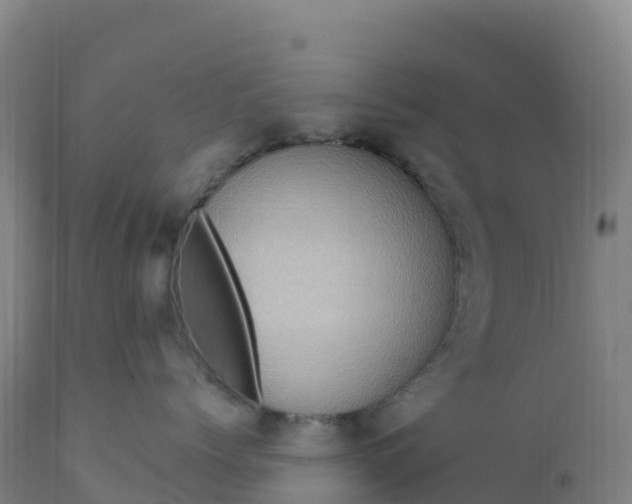 X0000112420768200908281839