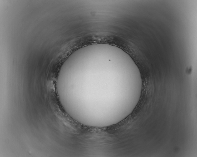 X0000112420770200908281838