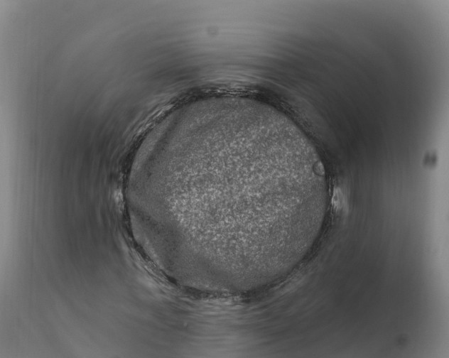 X0000112420771200908281838