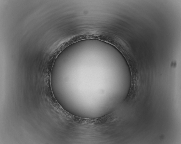 X0000112420773200908281838