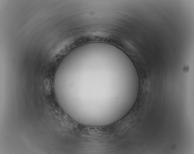 X0000112420774200908281838