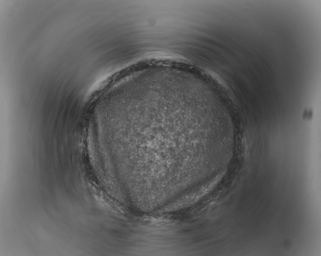 X0000112420775200908281838