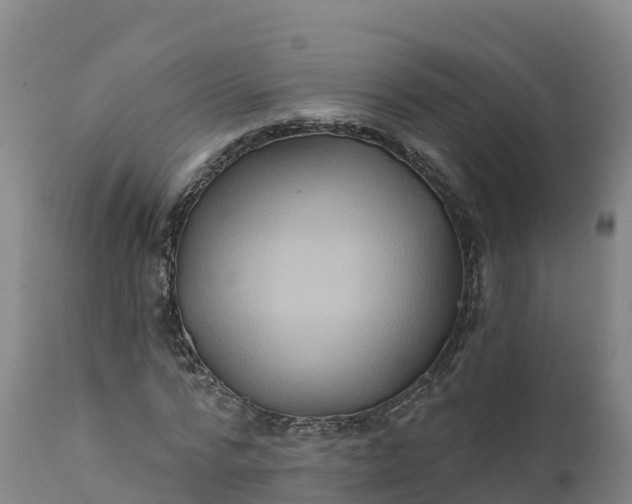 X0000112420776200908281838